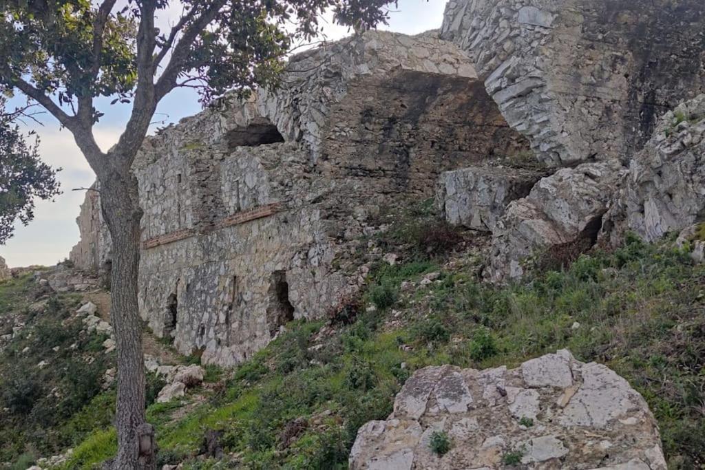 Casa Vacanze Il Pastore Tedesco Portoferraio Exterior foto
