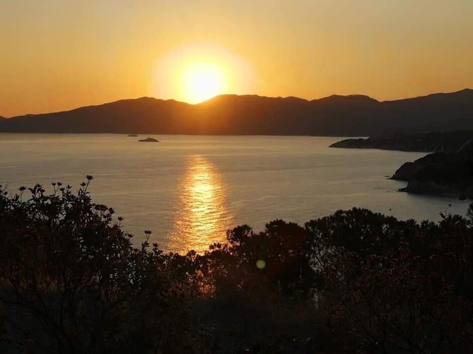 Casa Vacanze Il Pastore Tedesco Portoferraio Exterior foto