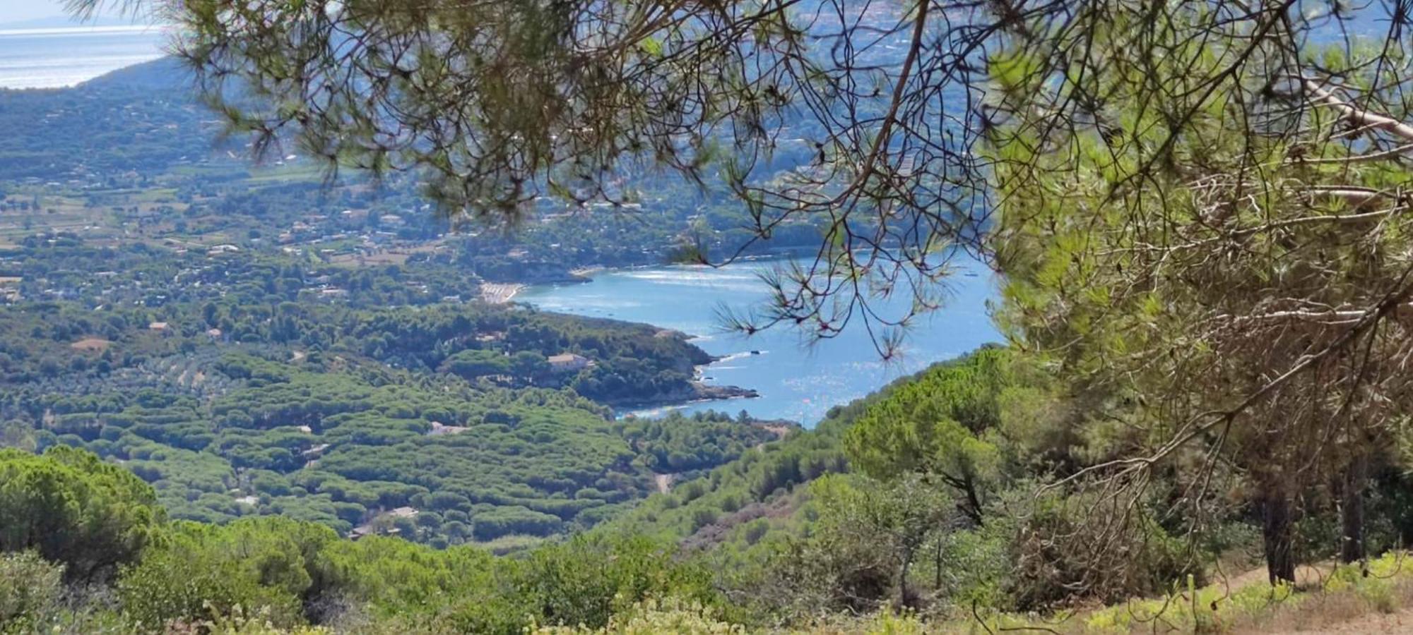 Casa Vacanze Il Pastore Tedesco Portoferraio Exterior foto