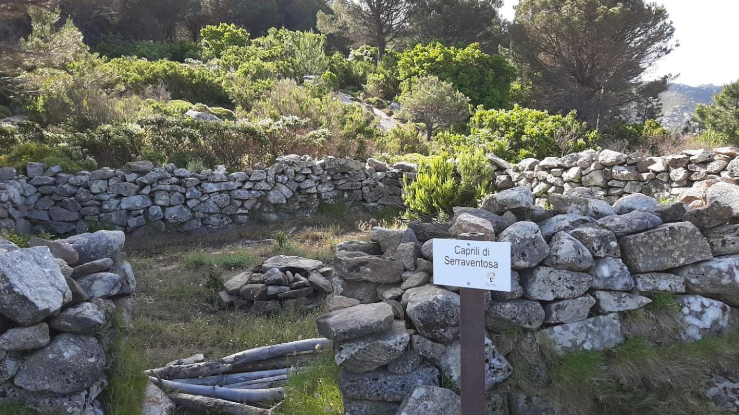 Casa Vacanze Il Pastore Tedesco Portoferraio Exterior foto